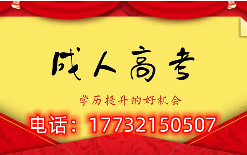 干貨！備考必讀，成考不踩雷！
